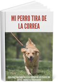 Mi perro tira de la correa y ¡Los paseos son un caos!