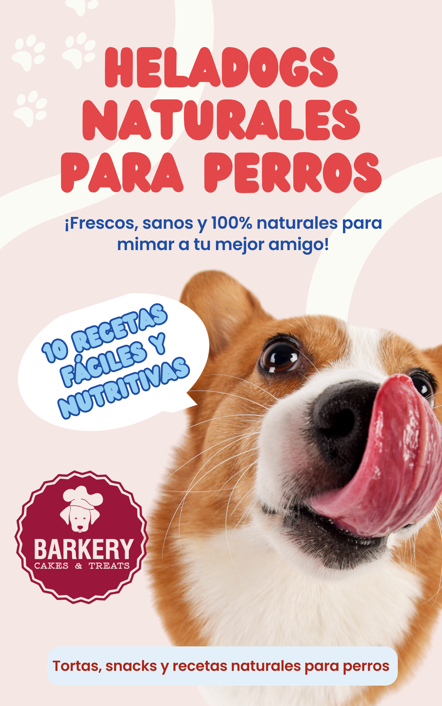 🍦 ¡Heladitos Saludables para Perros Felices! 🐾